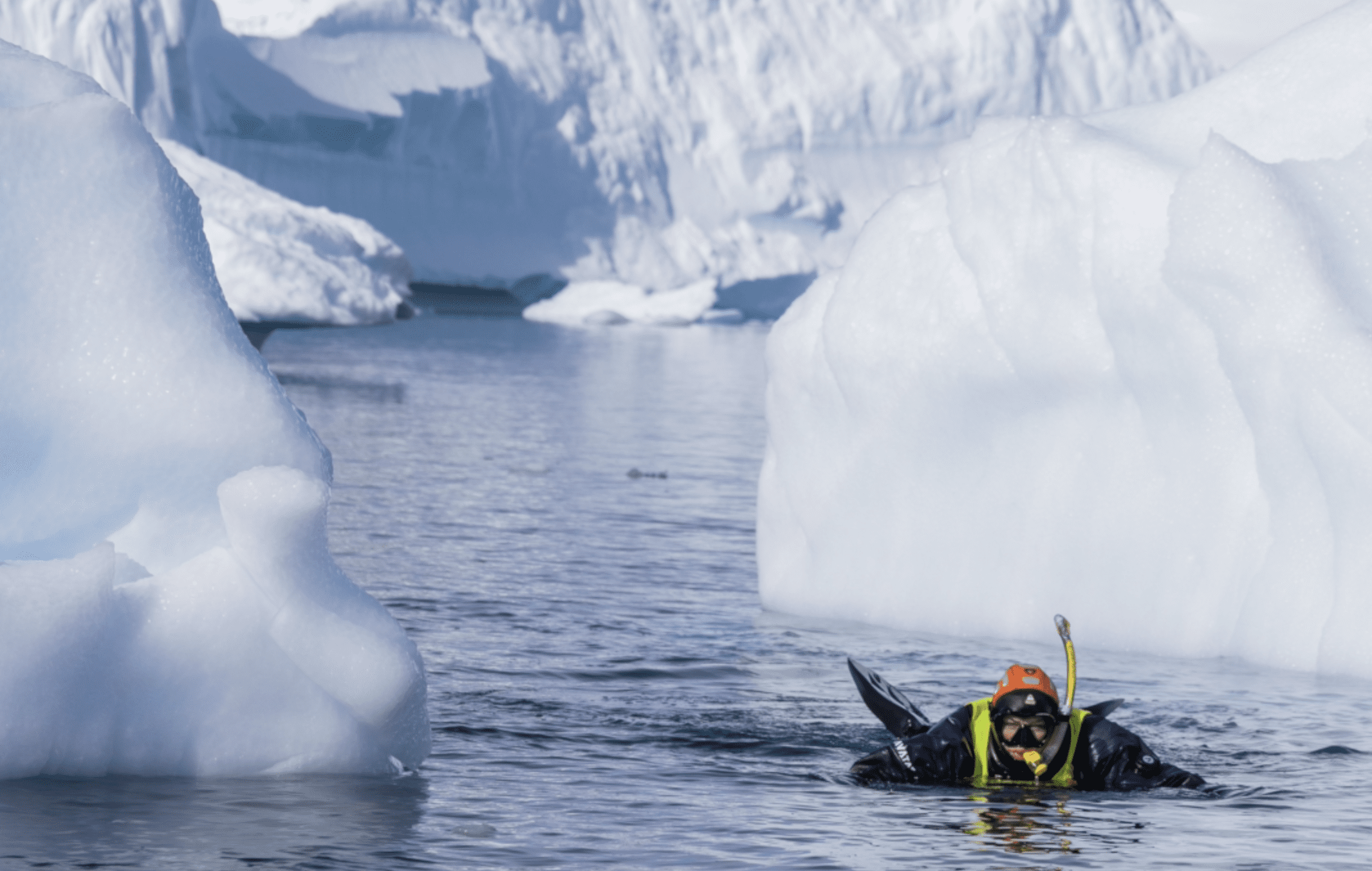 woman snorkeling in antarctica 