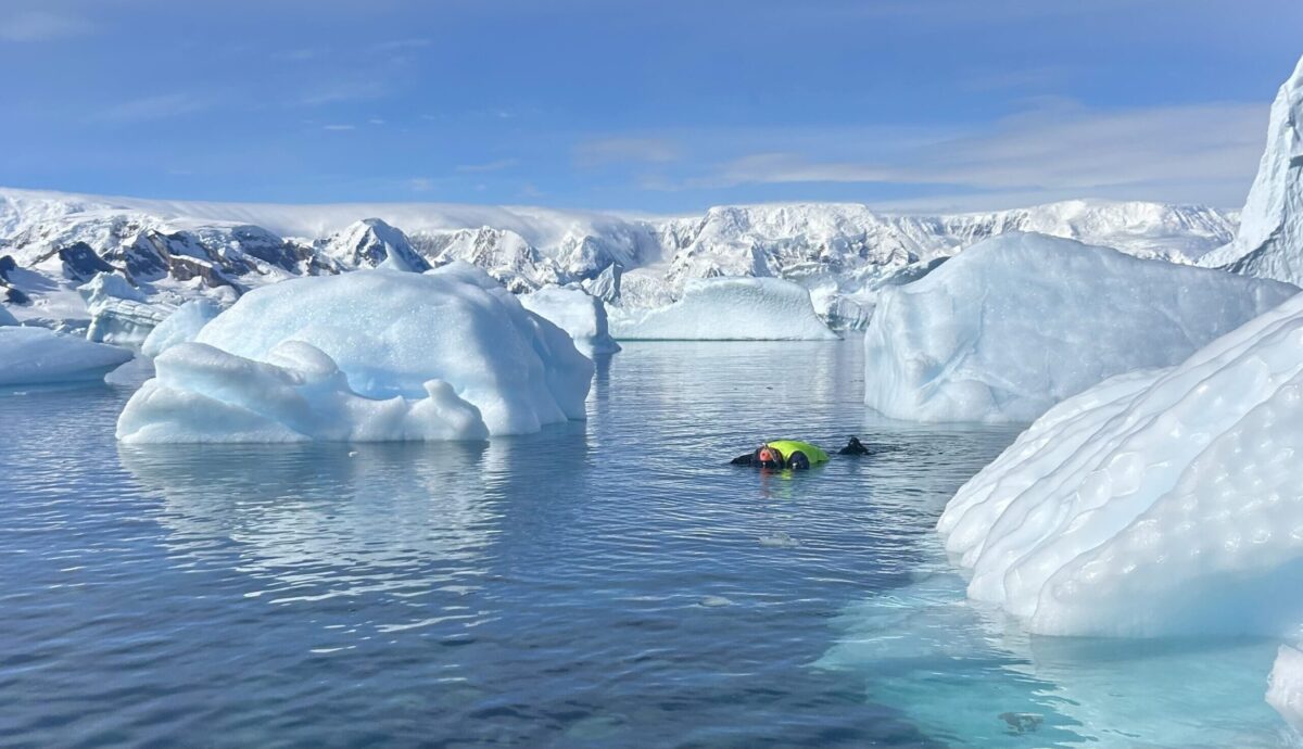 icebergs antarctica