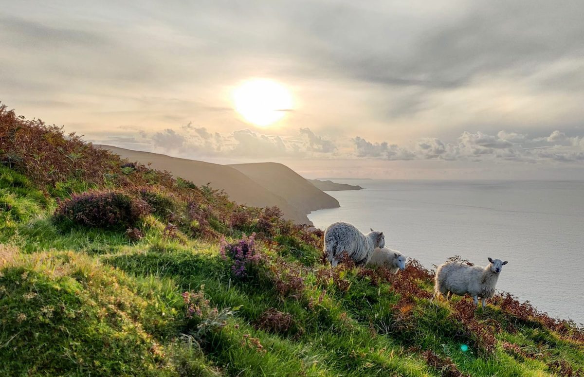 Hiking Yoga in the Moors Jenis Global Yoga Yoga for Wellness with Jeni’s Global Yoga Retreats