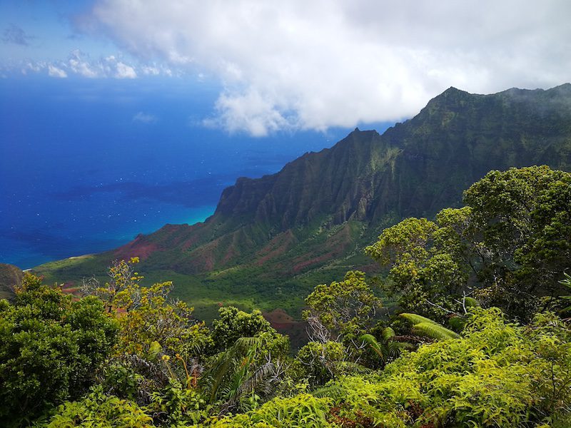 Kalalau Lookout on Kauai Kalalau Lookout on Kauai