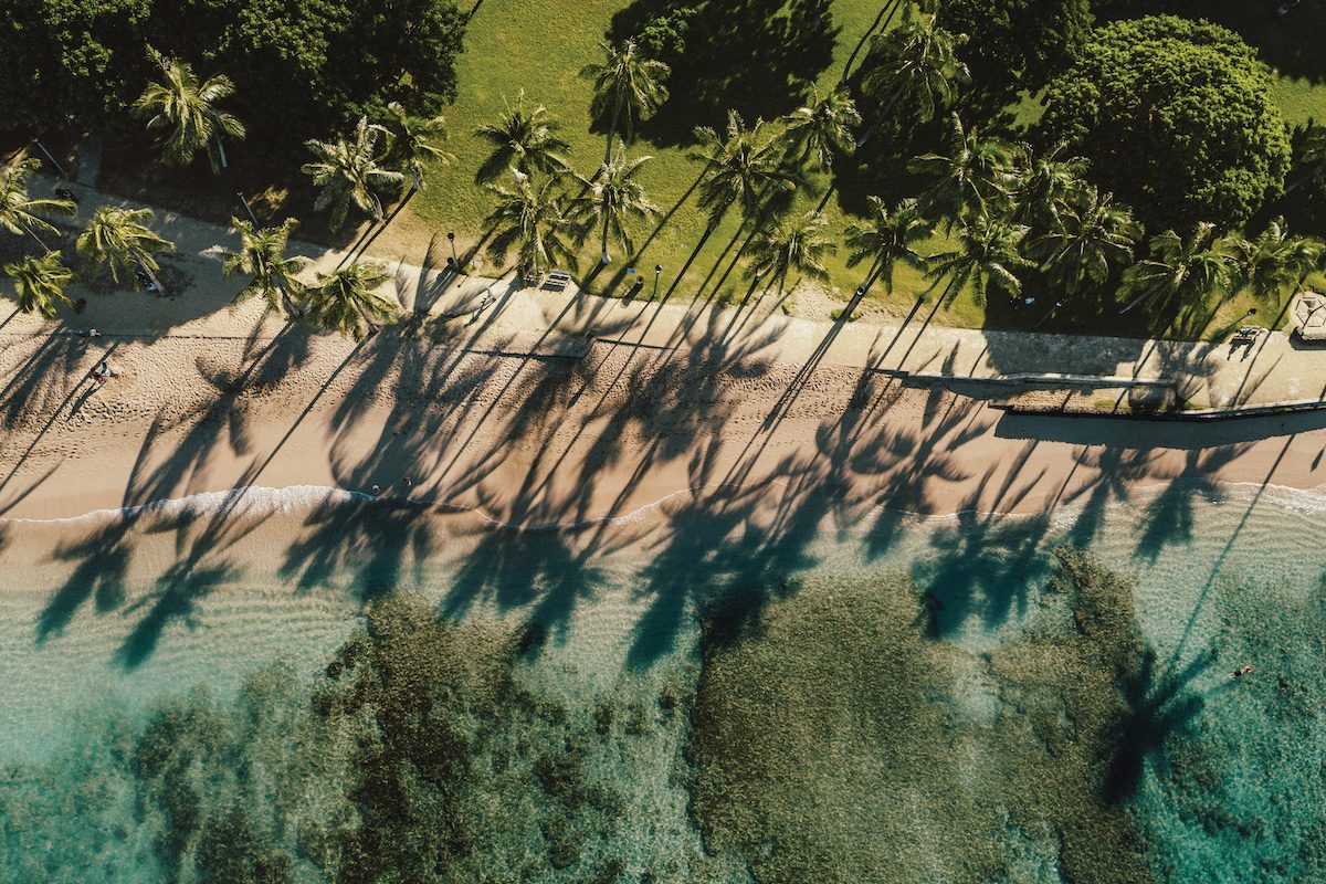 Travel to Hawai'i With Purpose Beach Palm Trees Aerial view of a south Oahu shoreline
