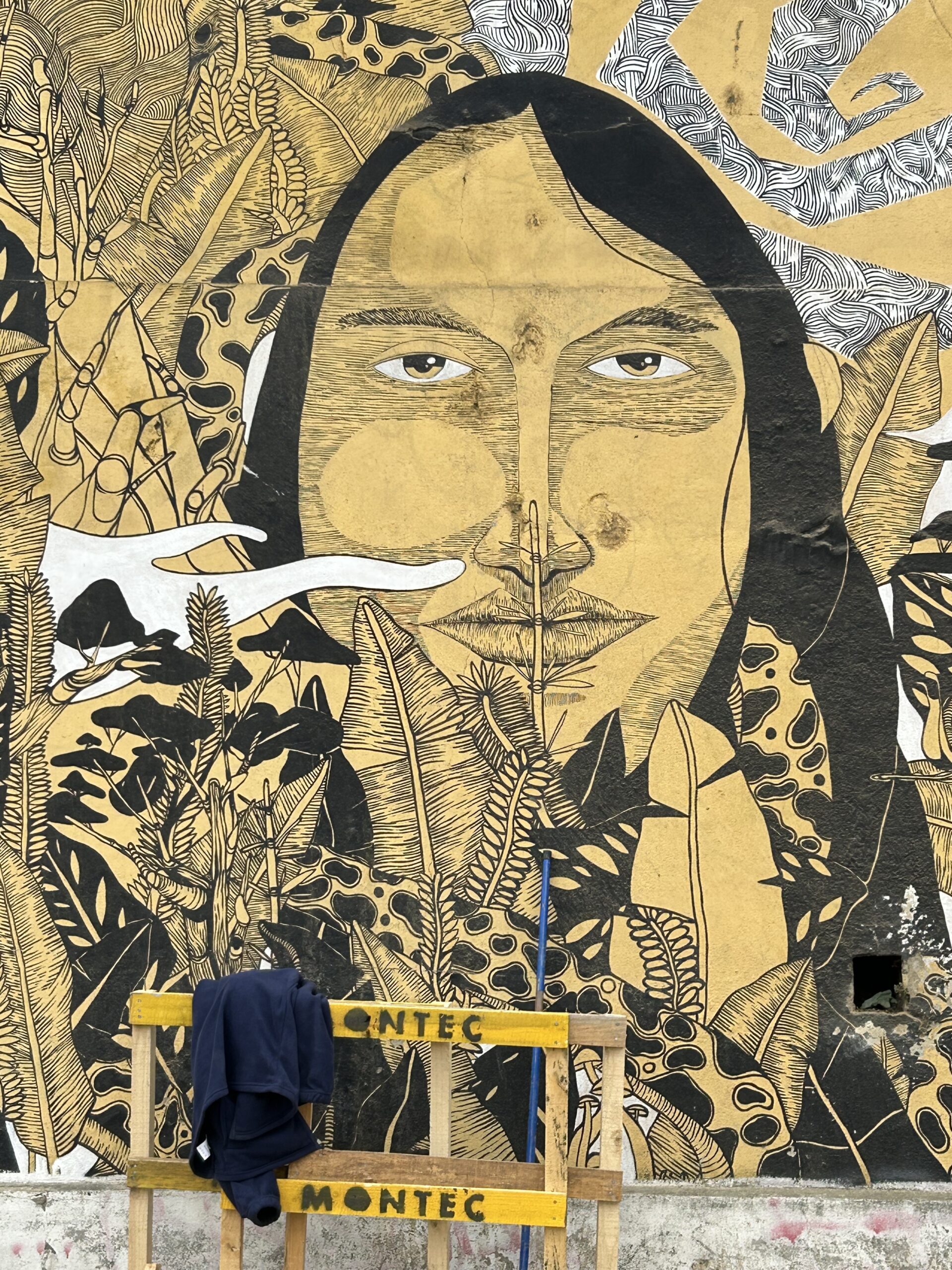 Valparaiso street art indigenous Carolyn woman standing in front of cathedral reims france