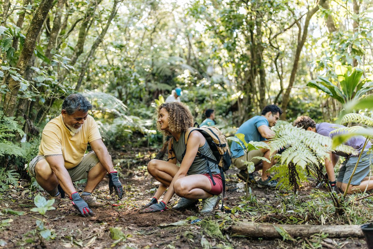 Volunteering in Hawai'i Volunteers replant native plants in Puu Ohia Trail, Honolulu, Oahu