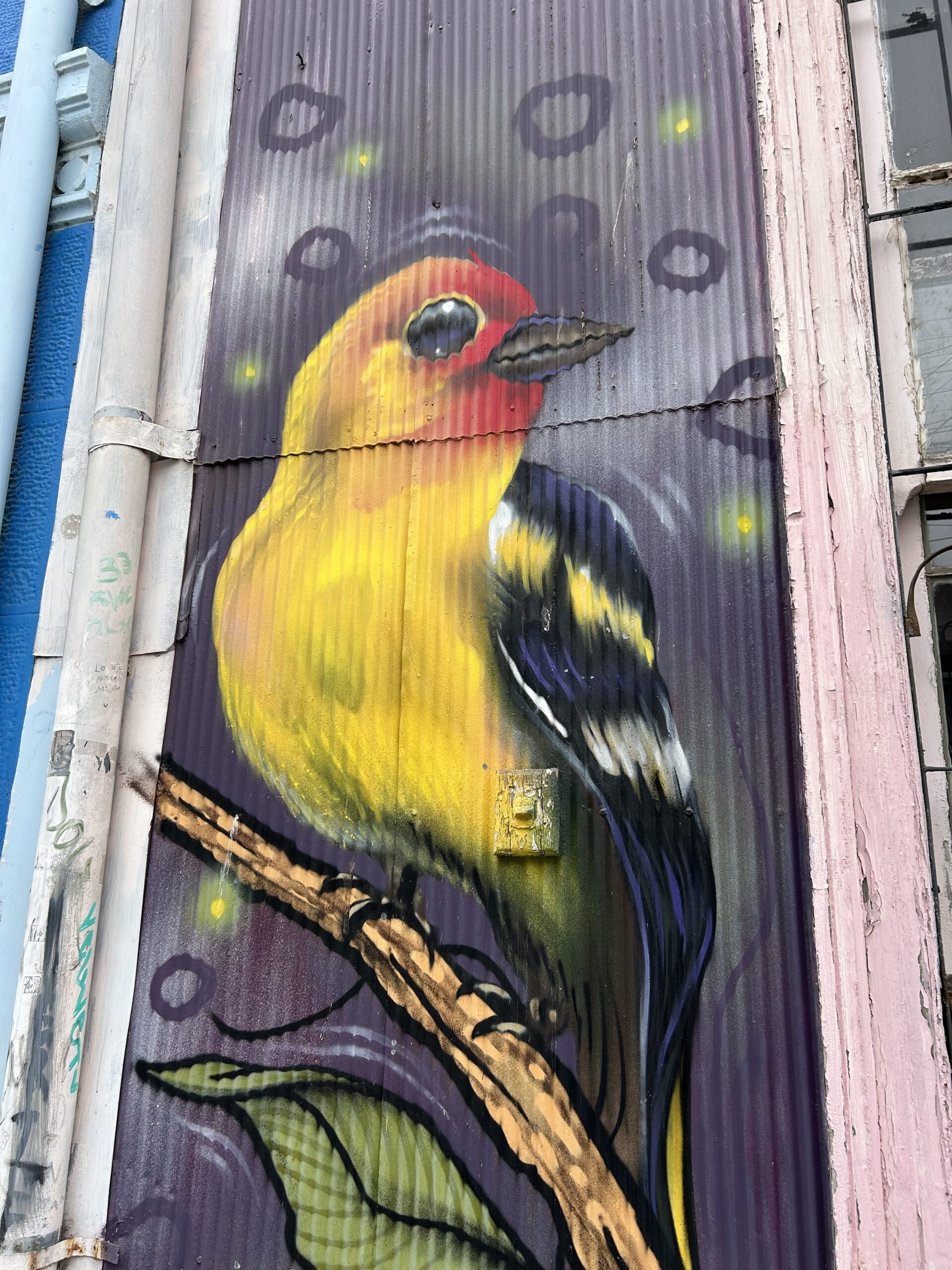 valparaiso street art bird reims taittanger salt mine UNESCO
