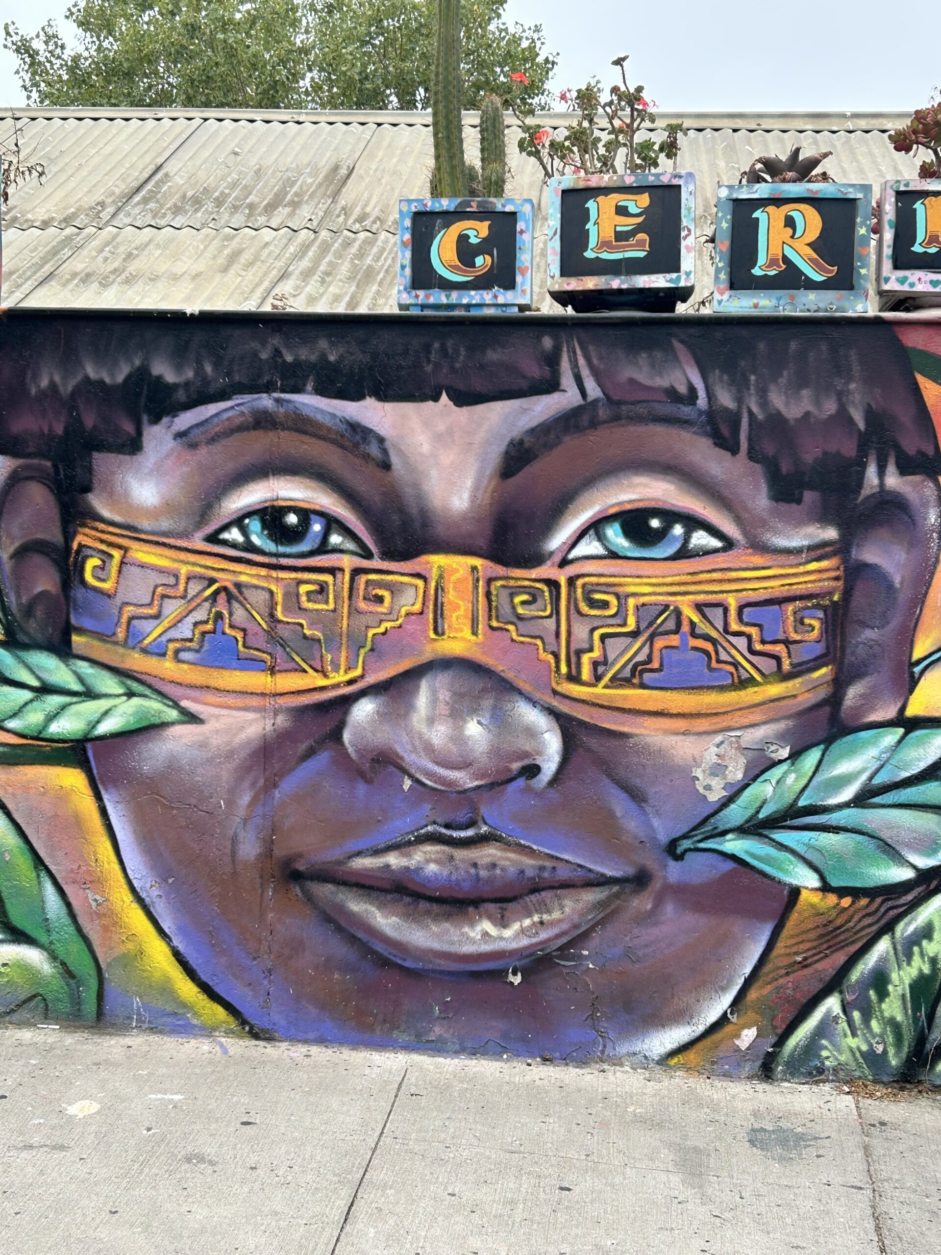 valparaiso street art cerro alegre reims taittanger salt mine UNESCO