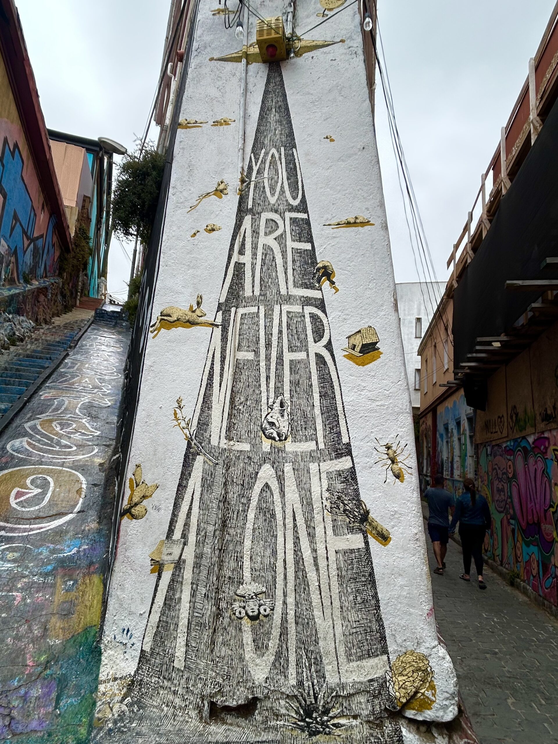 valparaiso street art you are not alone reims taittanger salt mine UNESCO