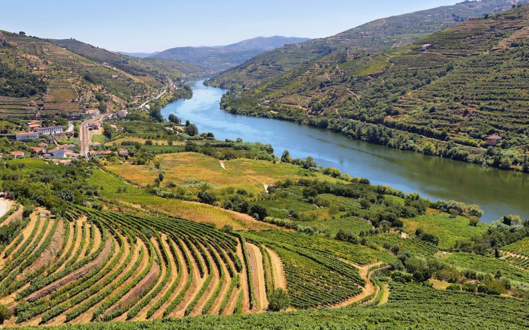 Why Porto, Portugal is Practically Perfect For Solo Women, Especially in the Off Season