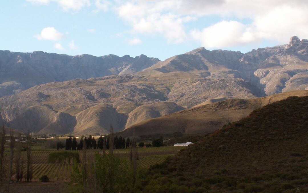 JourneyWoman Book Club: Sally Andrew’s “Recipes For Love and Murder”, Set in South Africa