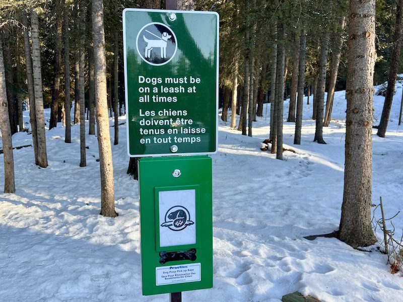 Banff National Park leash dogs