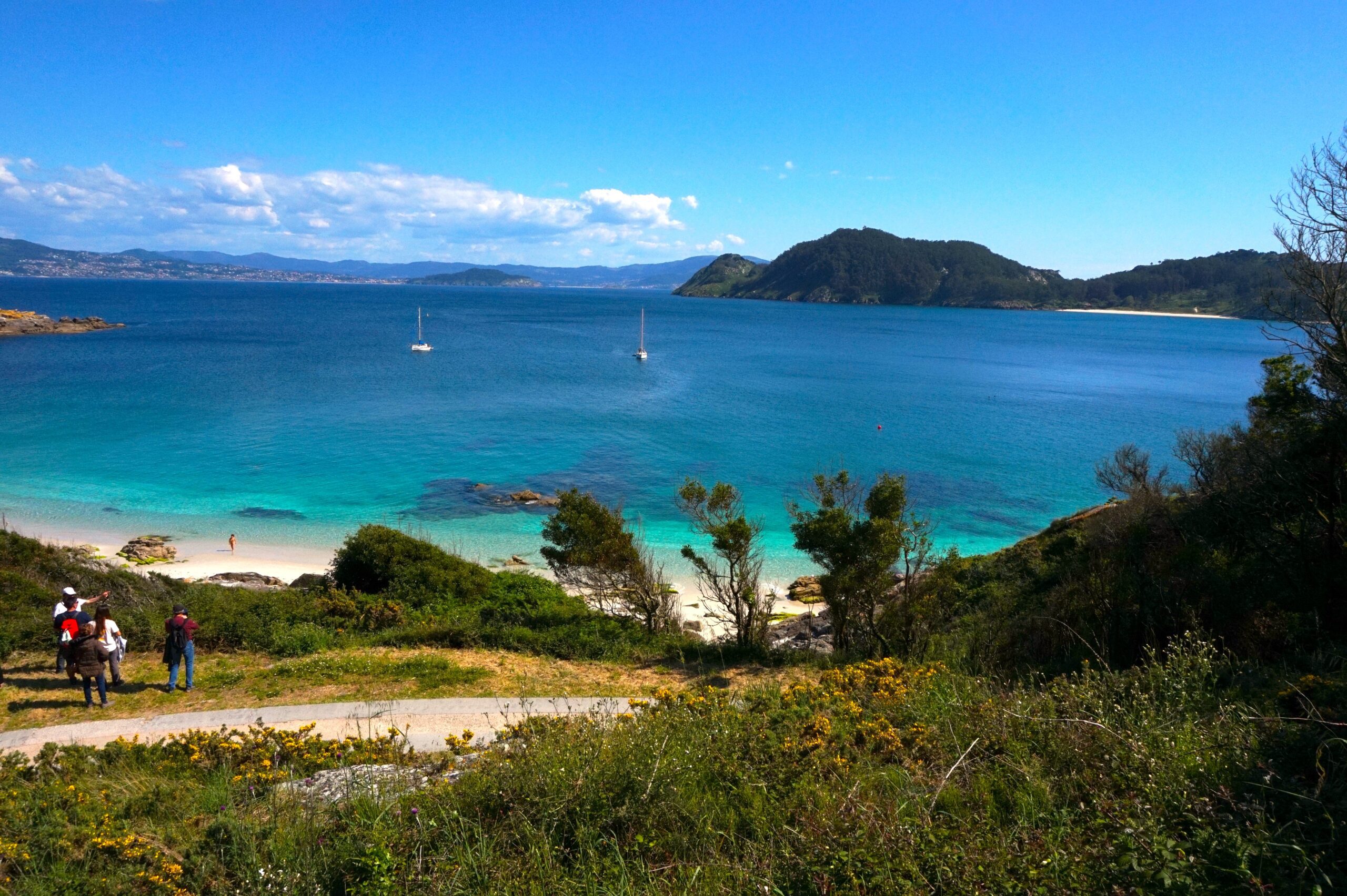 cies