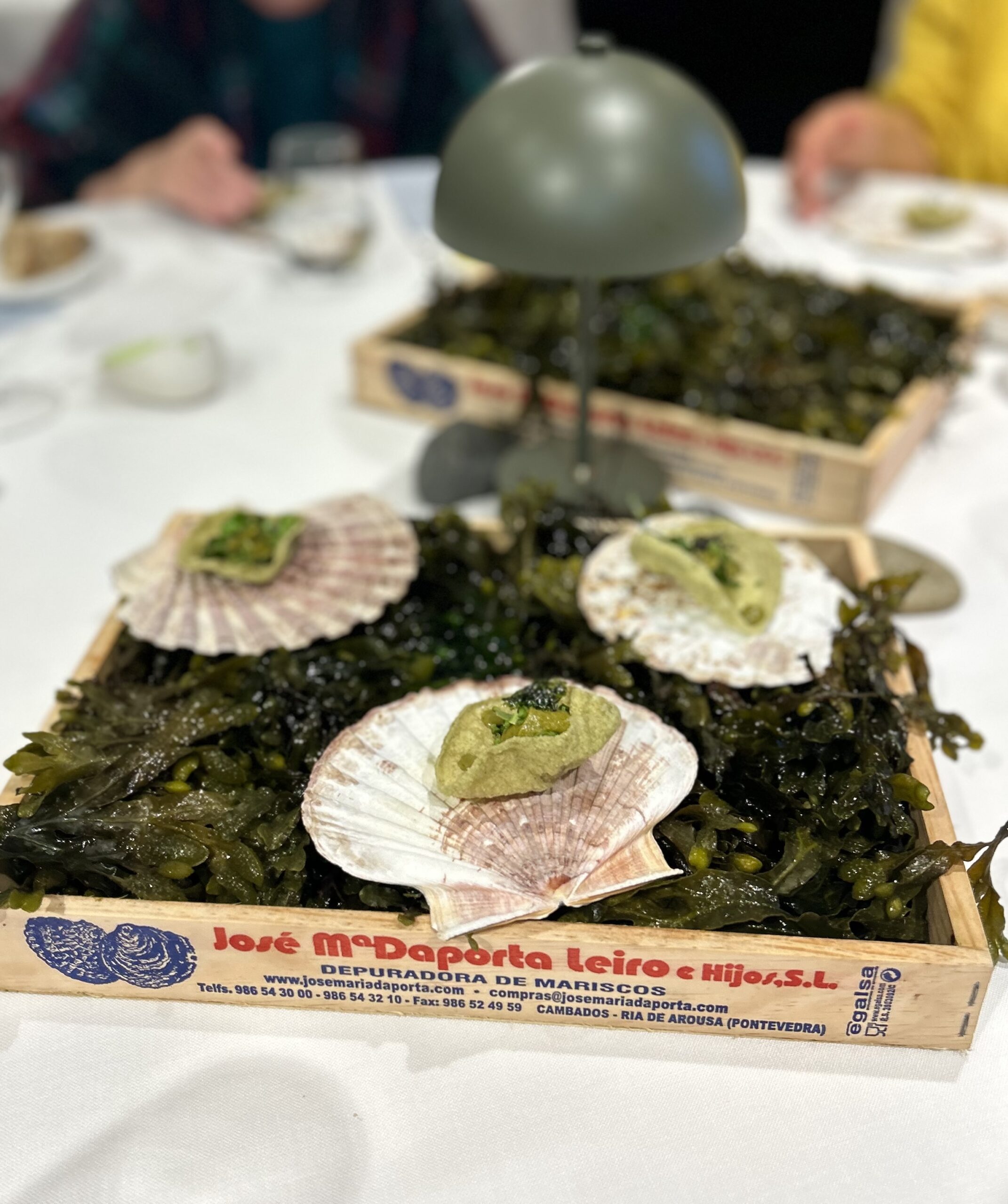 yayo cambaro dinner galicia scallops galicia