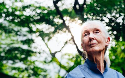 A Tribute to Icon Dr. Jane Goodall, 91, Who Devoted Her Life to Conservation and Advocacy