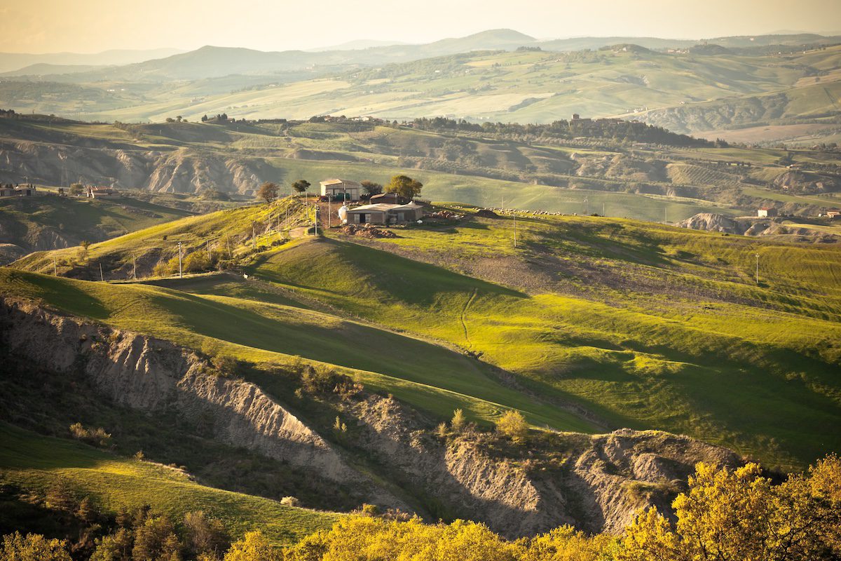 Outdoor Tuscan gold hills landscape at sunset. Horizontal shot