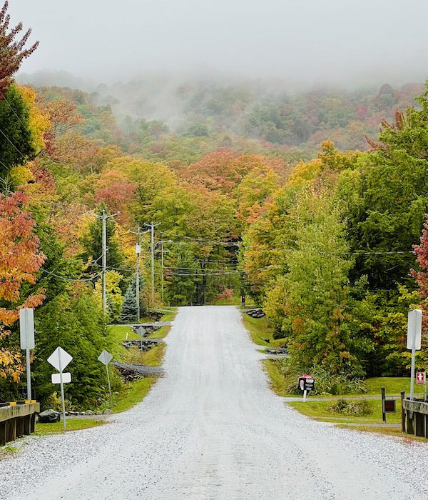 The beauty of autumn leaves in the mist of Mount Orford Cycling the Véloroute Gourmande