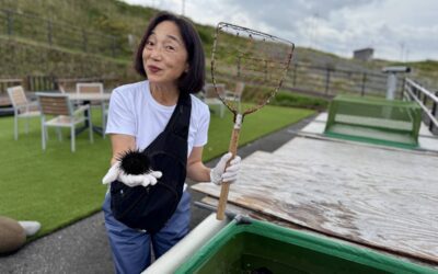 Japan’s Unsung Northern Islands: Why Hokkaido Should be on Every Woman’s Radar