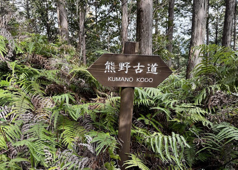 Kumano Kodo sign by ferns